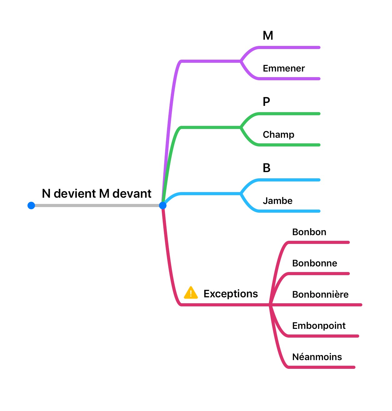 Orthographe – M Devant M,p,b – Capsule Et Carte Mentale – Le Coin Des ...